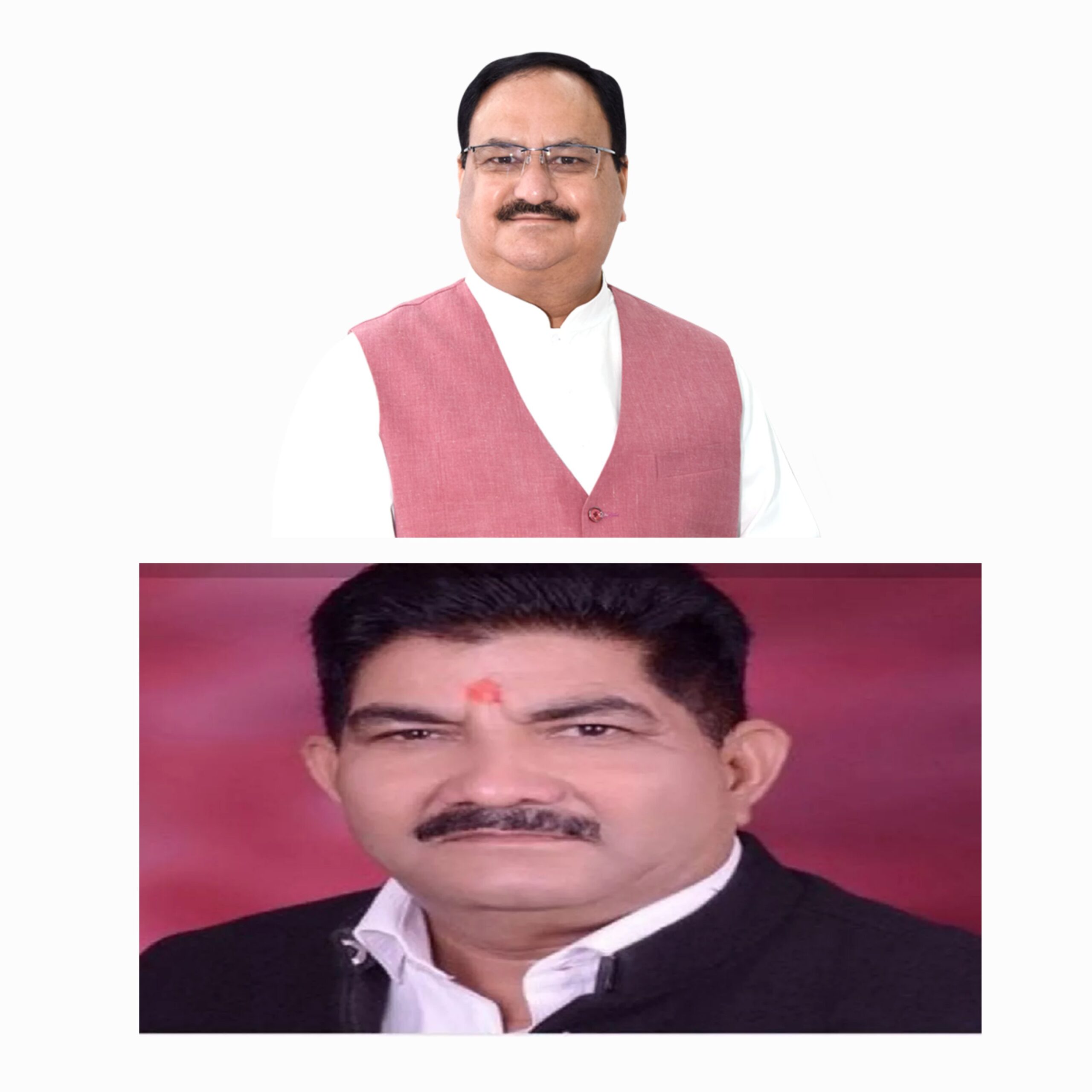 राष्ट्रीय अध्यक्ष जेपी नड्डा की 3 अप्रैल को पिथौरागढ़ में होने वाली जनसभा में संयोजक का दायित्व प्रदेश महामंत्री राजेंद्र बिष्ट को