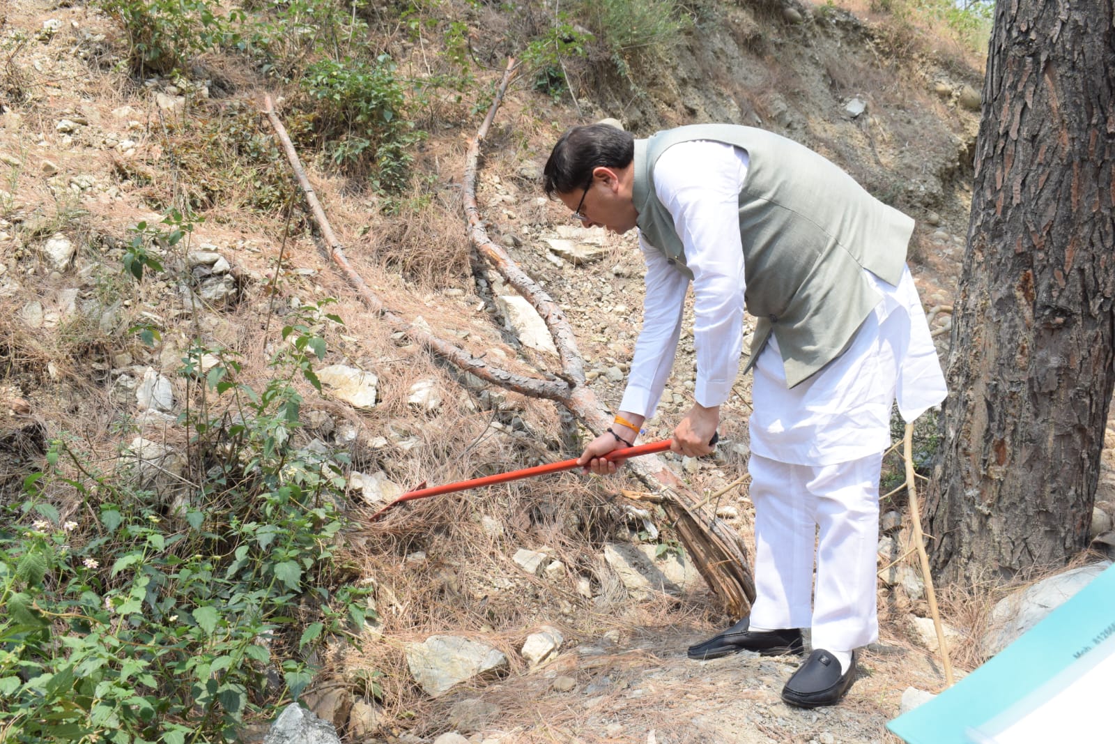 स्थानीय रोजगार को जोडने की पहल “पिरुल लाओ धन पाओ” की शुरुआत स्वयं पिरुल एकत्रीकरण कर मुख्यमंत्री ने की