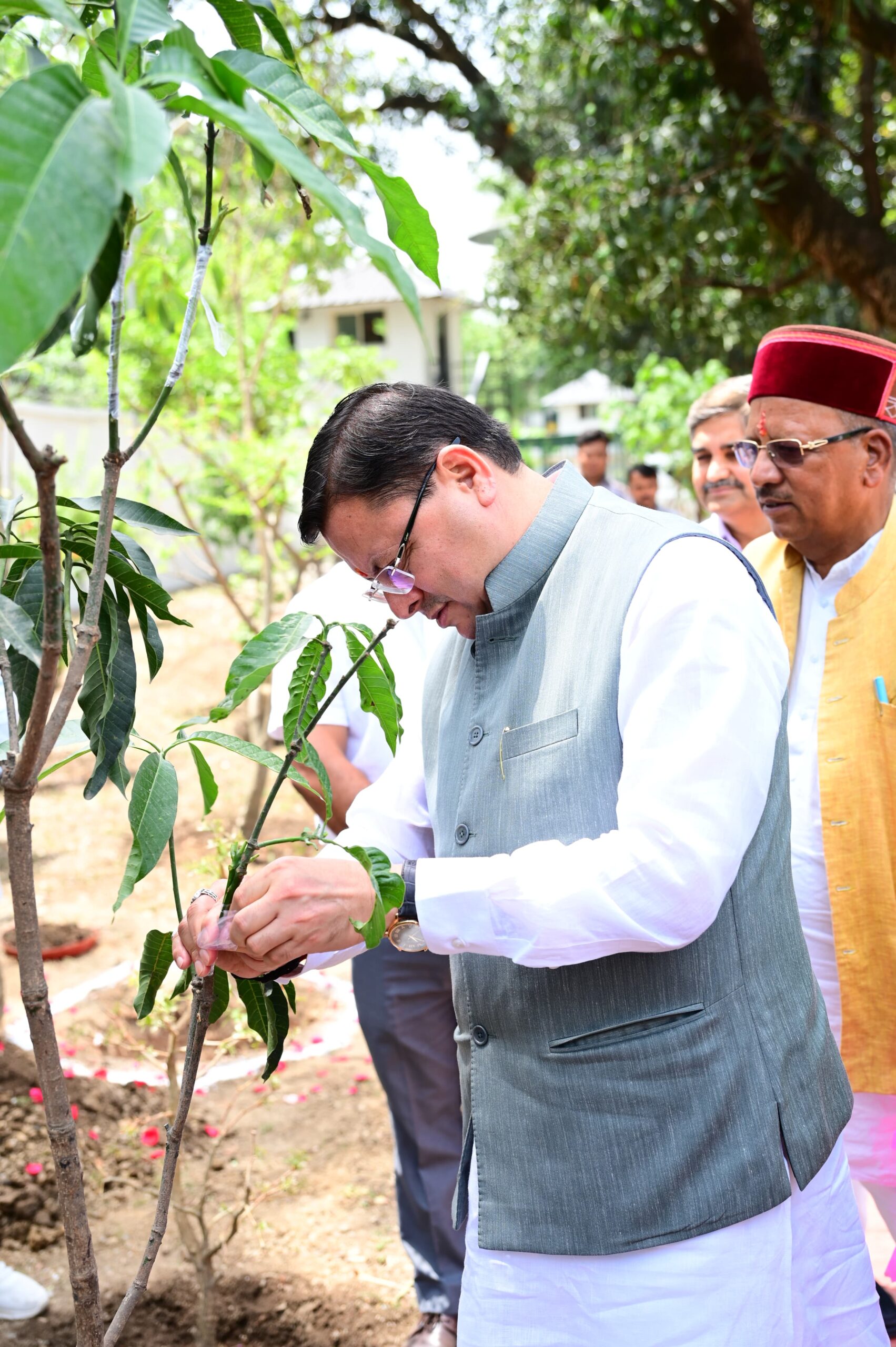 मुख्यमंत्री धामी ने विश्व पर्यावरण दिवस की प्रदेशवासियों को शुभकामना दी   